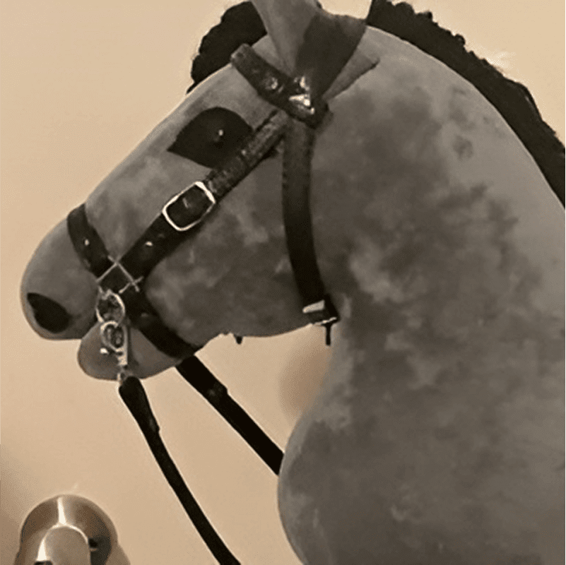 A plush toy horse head mounted on a wall with a bridle and reins.