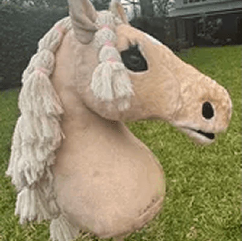 A plush horse head with braided mane is mounted on a stick, resembling a hobby horse. It is positioned outdoors on a grassy area.