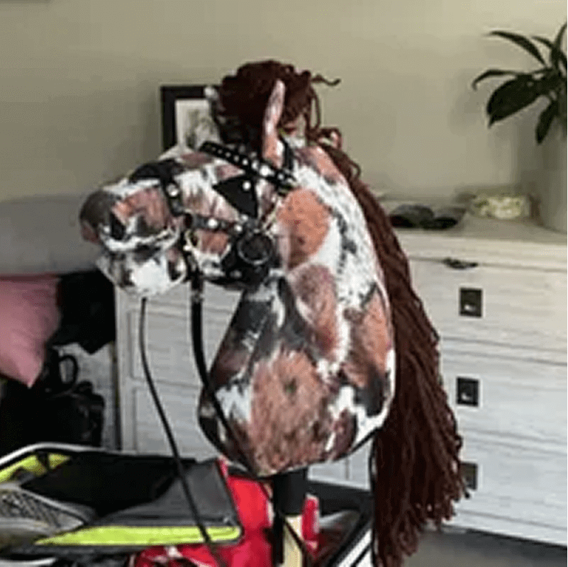A stuffed, horse-shaped head with brown braided mane, leather bridle, and studded details. It is mounted on a stick over a table near a plant and white drawers.