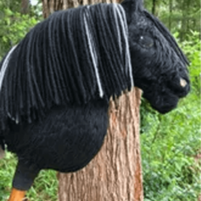 A black hobby horse with a yarn mane and a white stripe stands against a tree in a forested area.