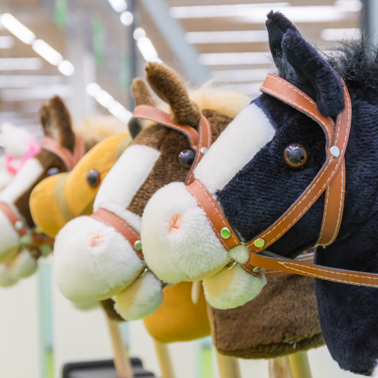 Hobby Horse Riders