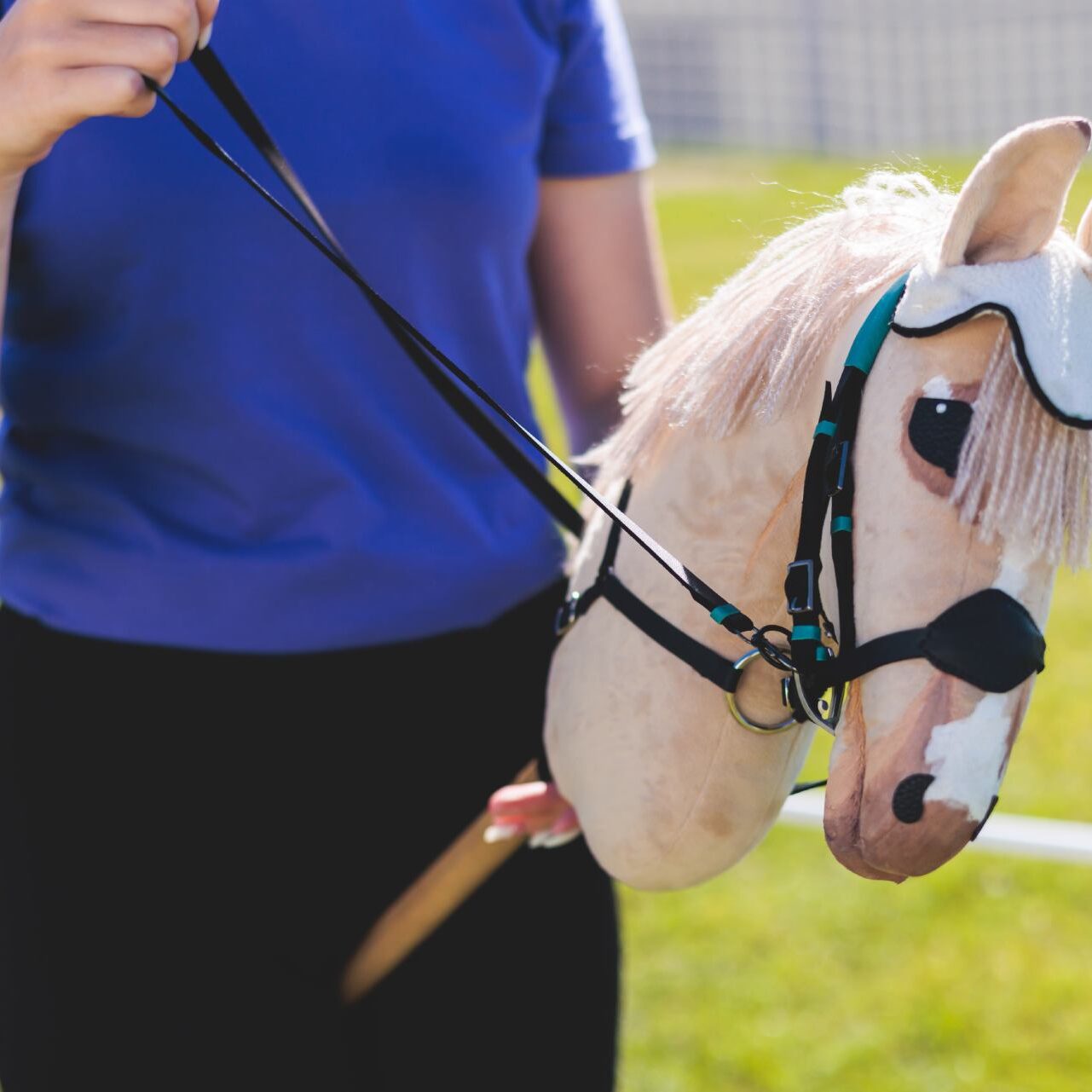 Hobby Horse Riders