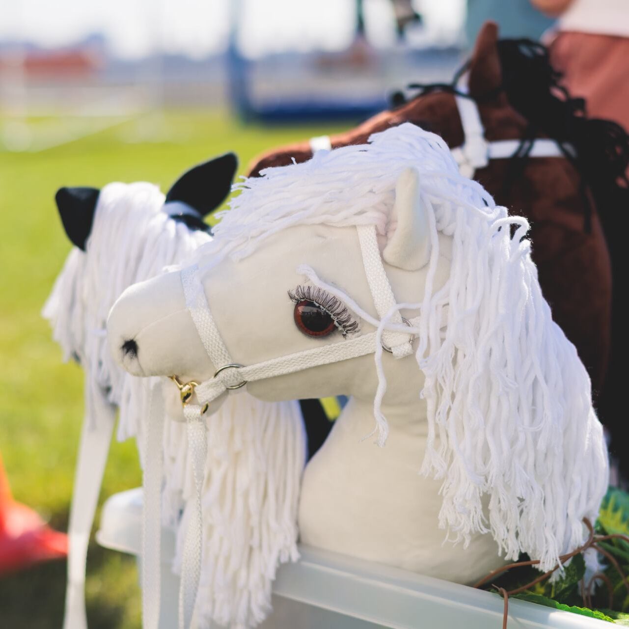 Hobby Horse Riders